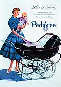 Post Card  Pedigree