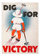 Dig For Victory