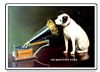 HMV DOG MAGNET