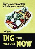 Large Steel Sign - Grow Your Own Vegetables