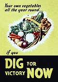 Small Steel Sign - Grow Your Own Vegetables